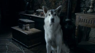 Le retour des loups dans Game of Thrones