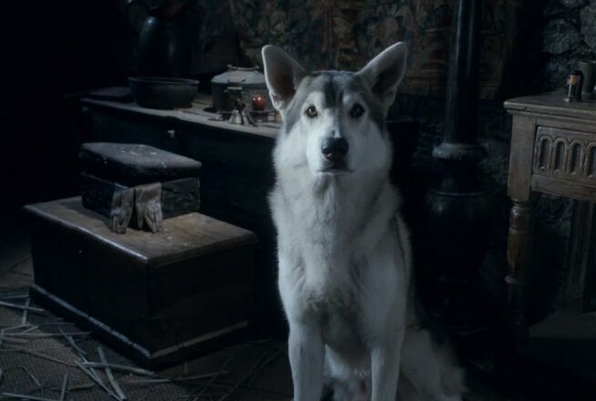 Le retour des loups dans Game of Thrones