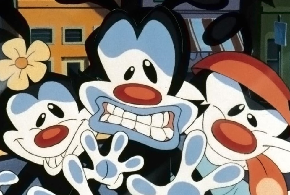Un reboot des Animaniacs pourrait voir le jour !