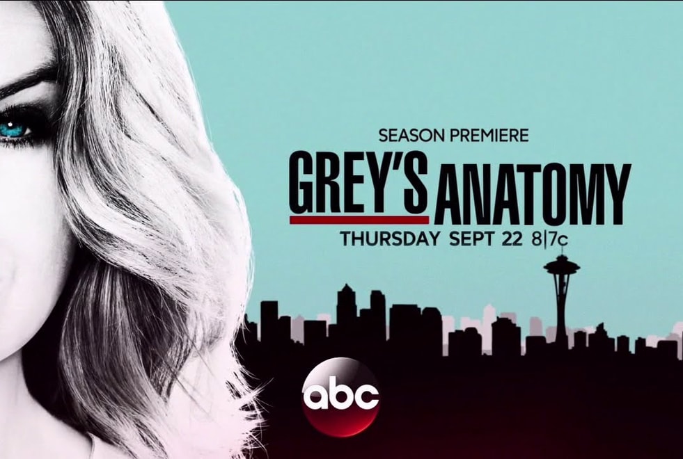Grey’s Anatomy saison 14 : un personnage central vient de quitter la série !