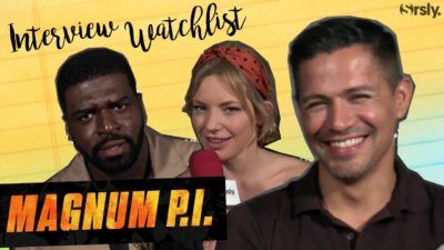 Magnum sur TF1 : la watchlist parfaite du casting du reboot
