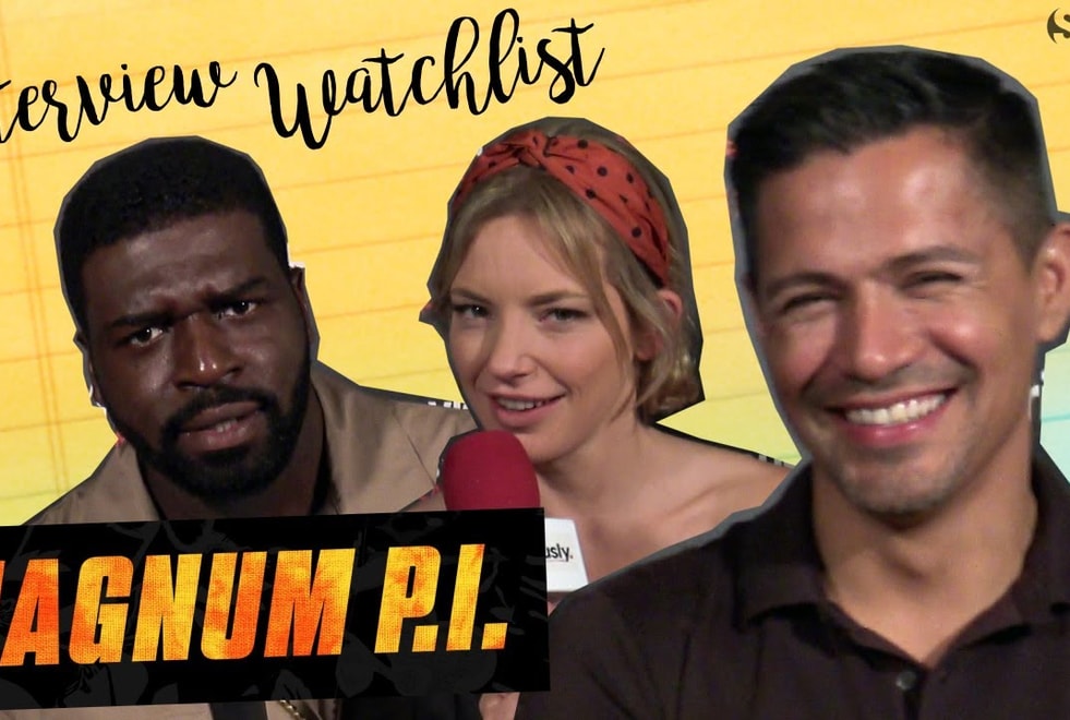 Magnum sur TF1 : la watchlist parfaite du casting du reboot