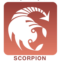 Scorpion