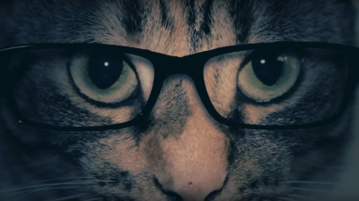 Supernatural, animaux : top 5 des meilleures reprises du générique d&rsquo;Orange is The New Black