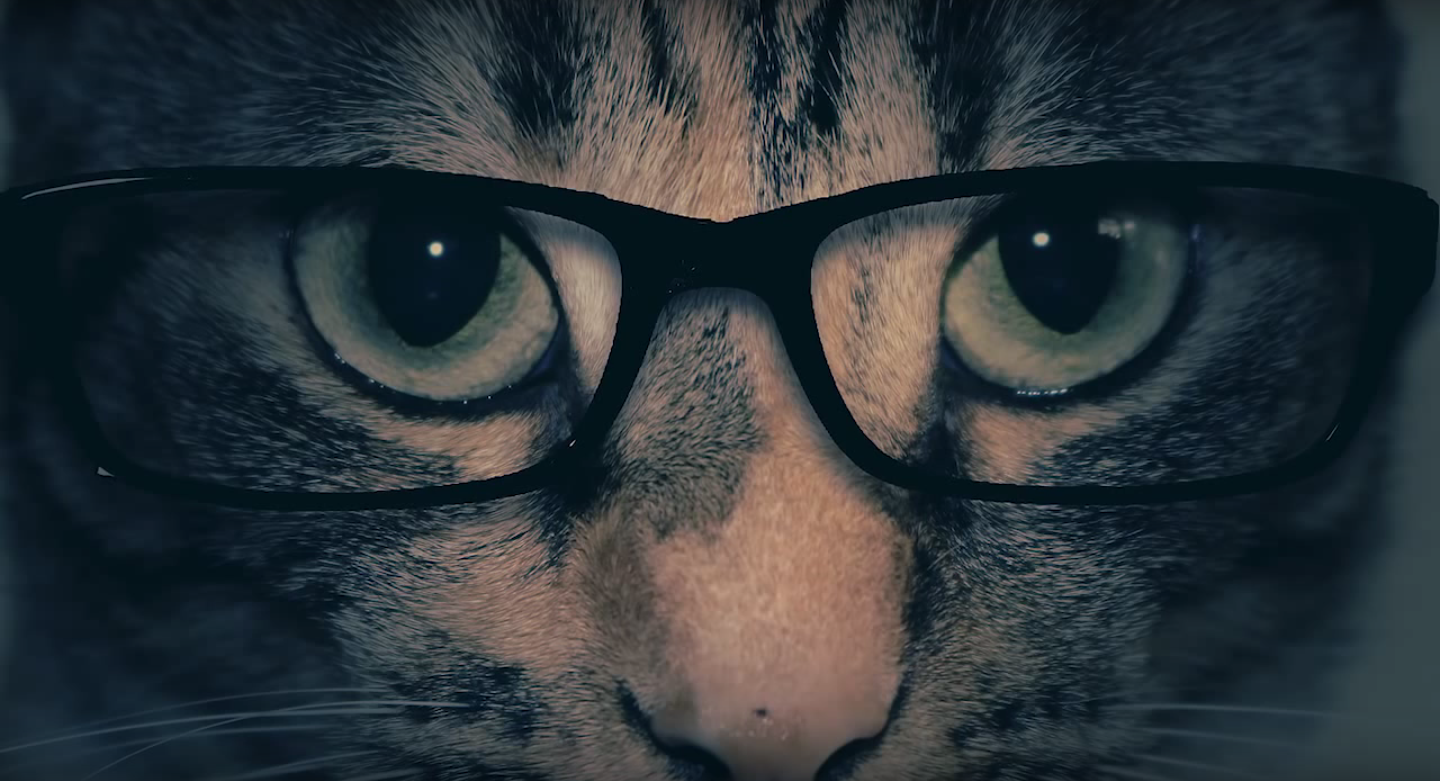 Supernatural, animaux : top 5 des meilleures reprises du générique d'Orange is The New Black
