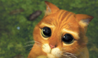 Je crie mon innocence