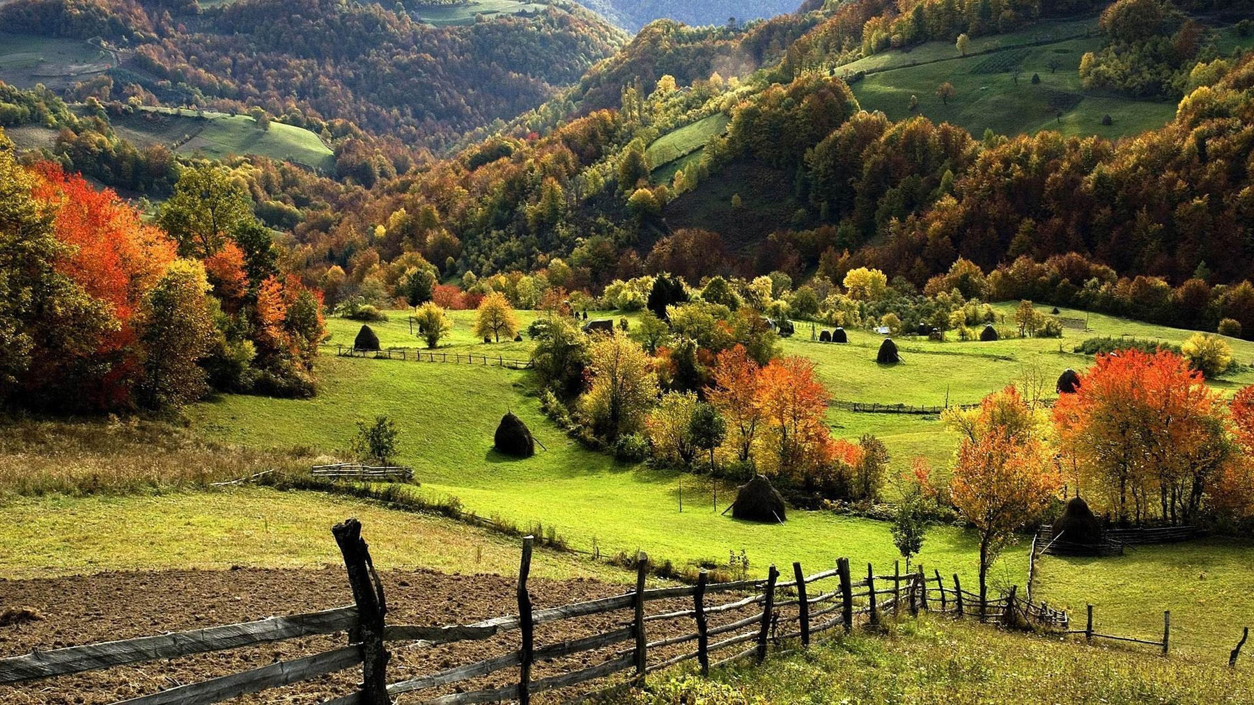 Campagne