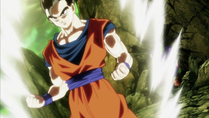 Gohan adulte