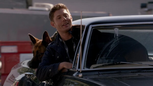 dean-chien-supernatural