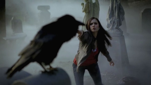 the vampire diaries corbeau
