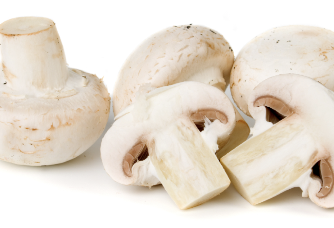 Champignons