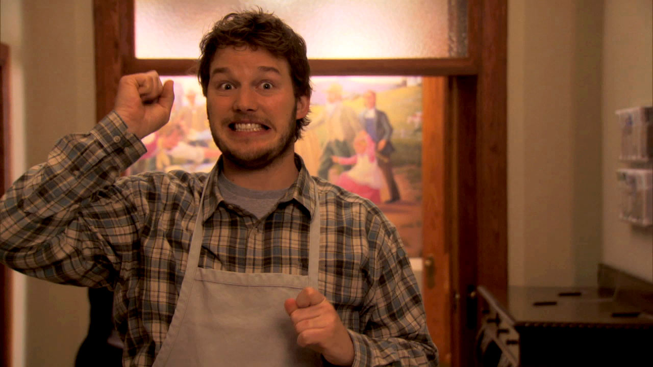 ANDY CHRIS PRATT PARKS AND RECREATION