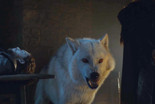 Game of Thrones : pas de panique, Ghost sera bien dans la saison 8