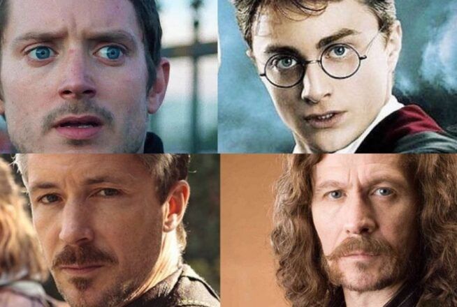 Harry Potter : alerte sosies ! 12 acteurs qui ont été séparés à la naissance