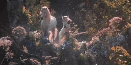 Une licorne nourrie aux paillettes