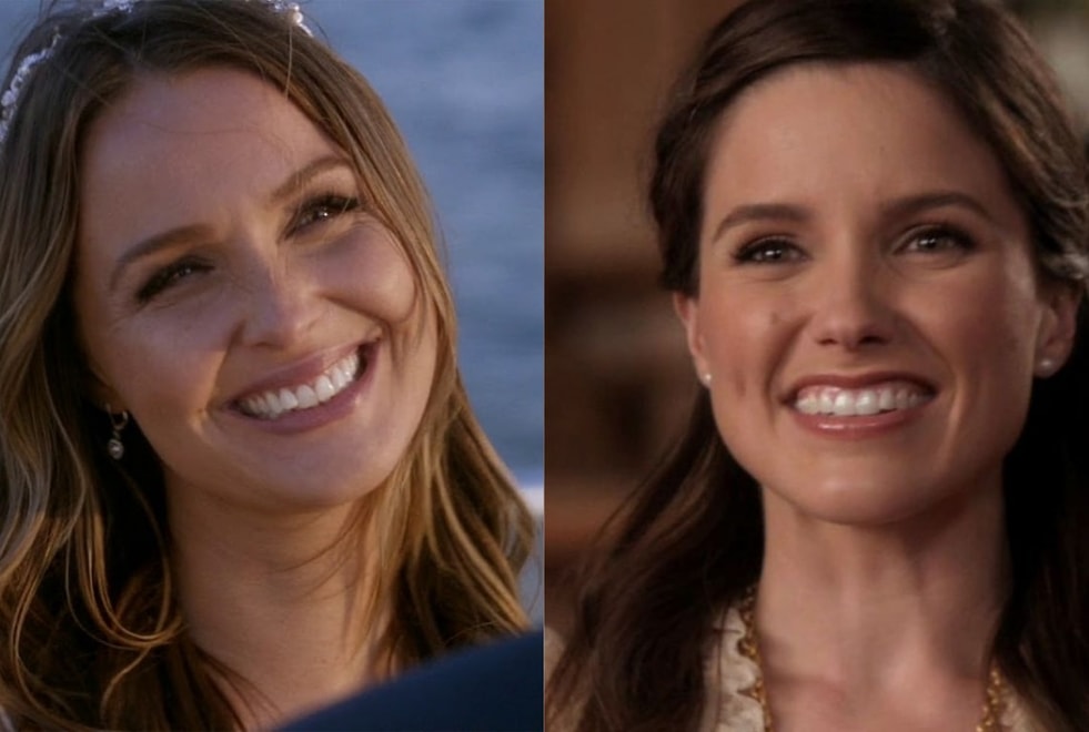 Grey’s Anatomy : 10 acteurs qui ont (clairement) été séparés à la naissance #2