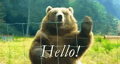 Te faire attaquer par un grizzli
