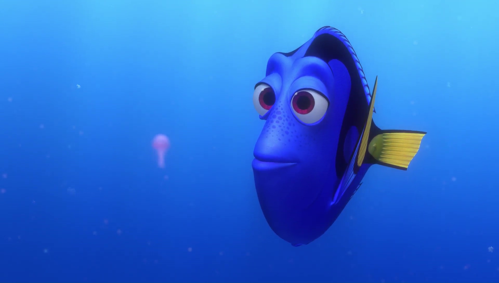 Dory (Nemo) 