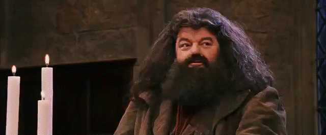 Rubeus Hagrid 