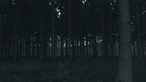Tu vas dans les bois la nuit, évidemment