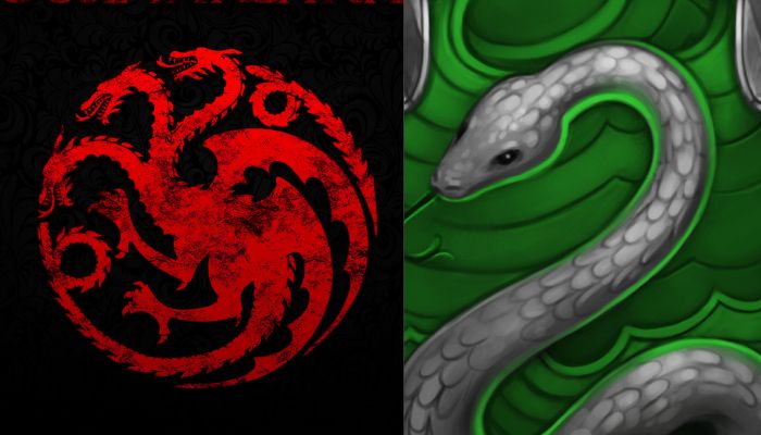Targaryen / Serpentard