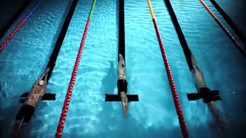 La natation