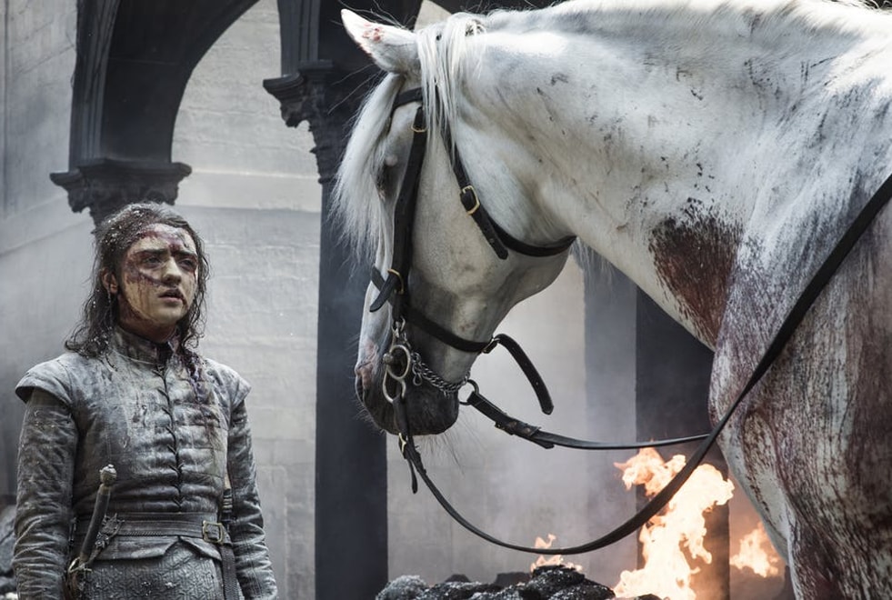 Yeux verts, cheval blanc… Arya va-t-elle tuer Daenerys dans Game of Thrones ?