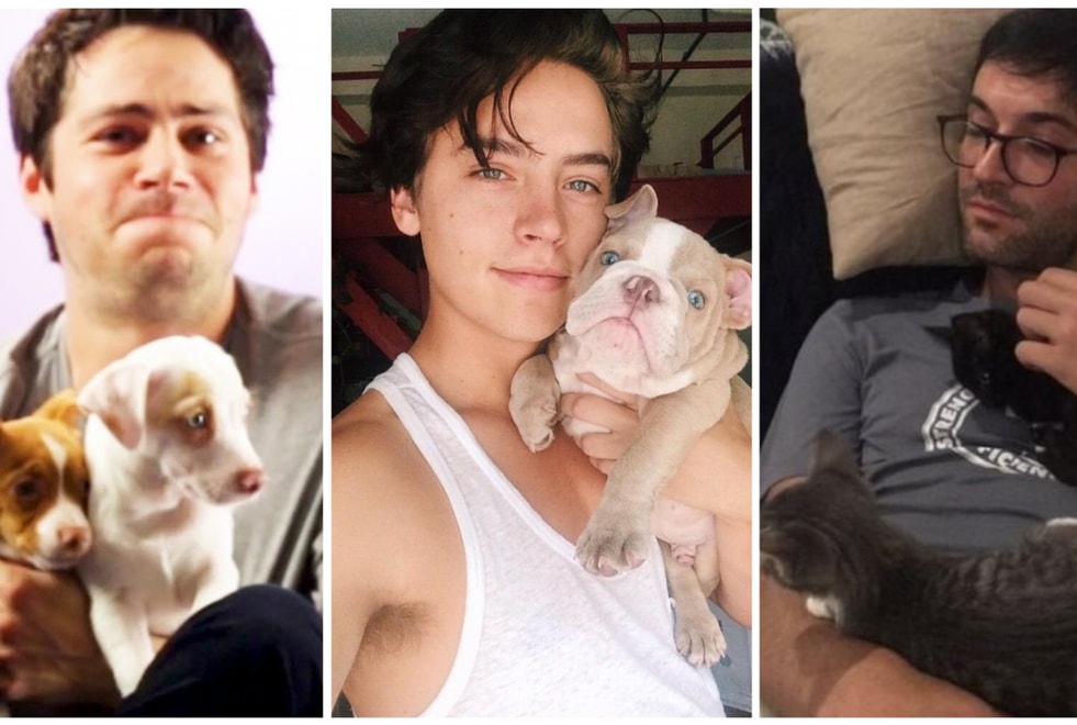 Des hommes (sexy) et des bébés animaux : 14 stars de séries bien accompagnées