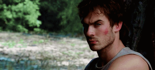 Ian Somerhalder