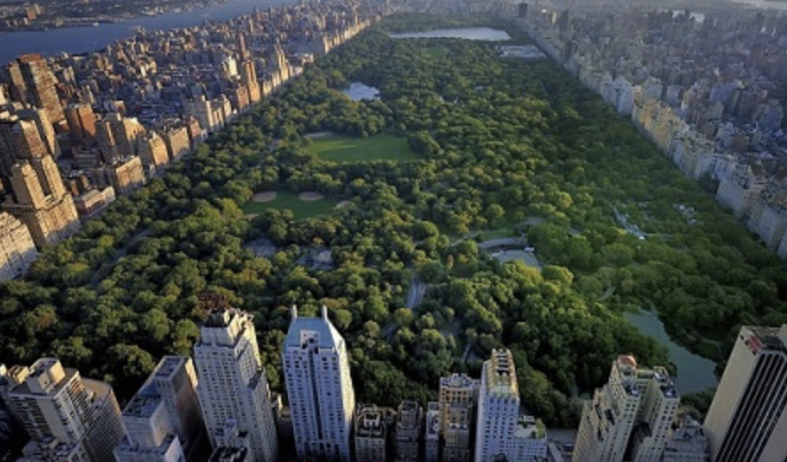 Central Park