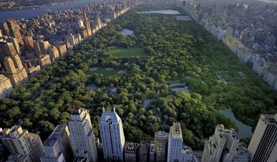 Central Park 