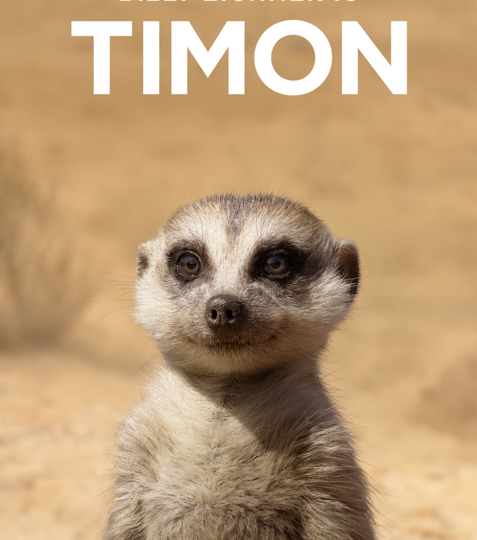 Timon