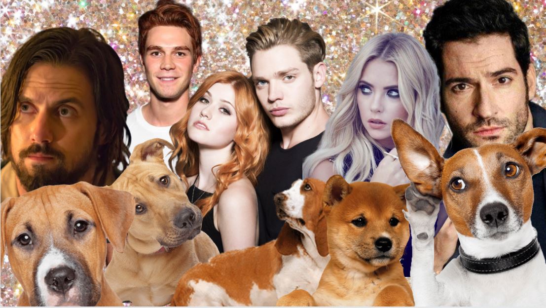 Ces 20 stars de séries qui postent autant de photos de leur chien que vous