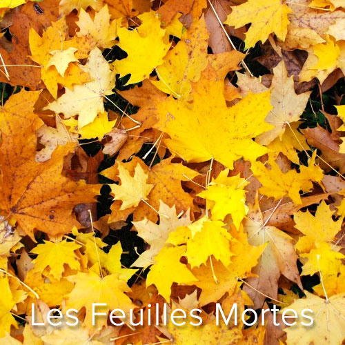 Manger des feuilles mortes