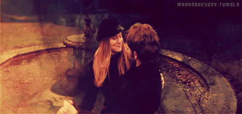 lily et james potter, harry, parents