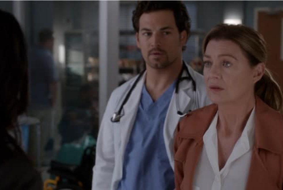 Grey’s Anatomy : les fans pensent que les scénaristes trouvent leurs idées sur Reddit