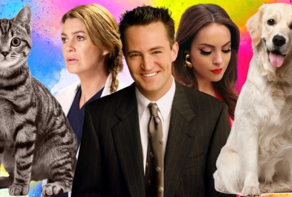 Choisis tes séries préférées, on devinera si t’es plus chiens ou chats