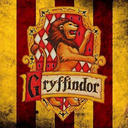 Celui de Gryffondor 