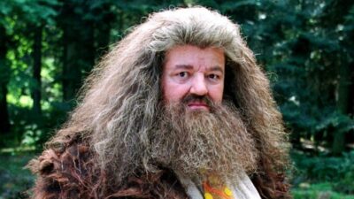 Harry Potter : le quiz le plus facile du monde sur Hagrid