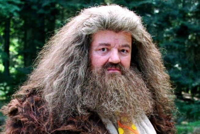Harry Potter : le quiz le plus facile du monde sur Hagrid