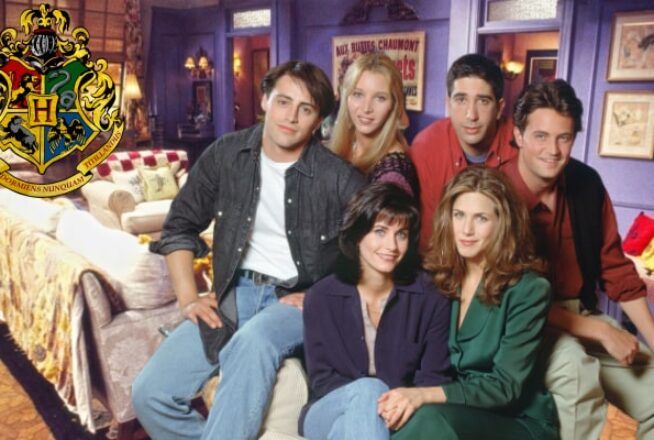 Place les Friends dans une maison Poudlard, on te dira quel appart de la série est fait pour toi