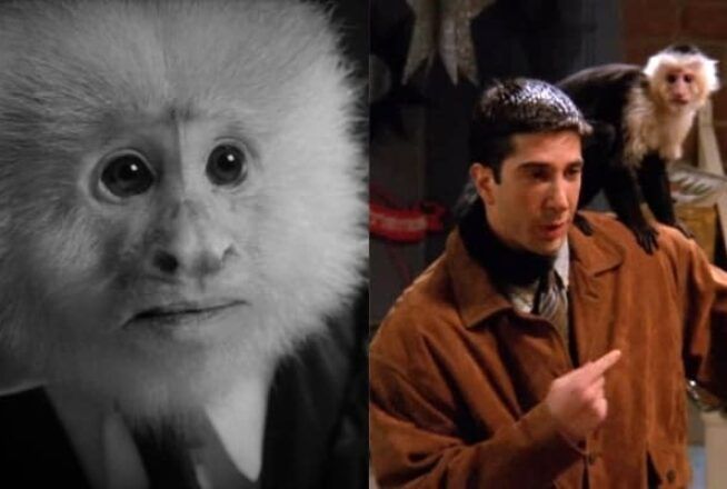 Friends : David Lynch sort un court-métrage avec… Marcel, le singe de Ross
