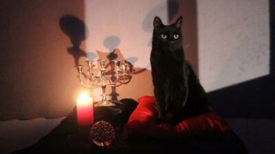 Les Nouvelles Aventures de Sabrina : Salem a failli être... un chien dans le reboot