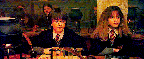 Harry Potter à l'école des Sorciers