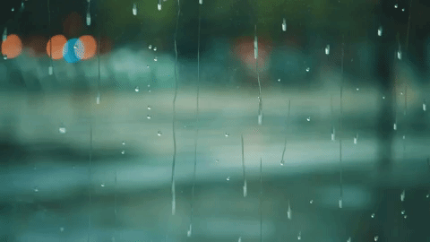 Sous la pluie