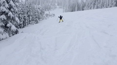 Sur les pistes de ski