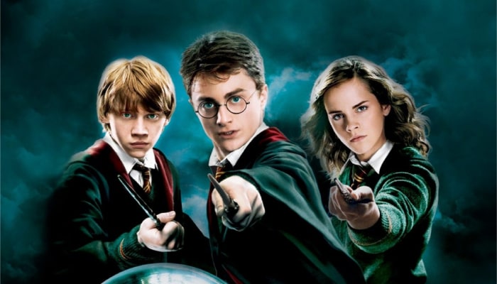 Quiz : seul un vrai fan saura dire à qui appartiennent ces baguettes dans Harry Potter