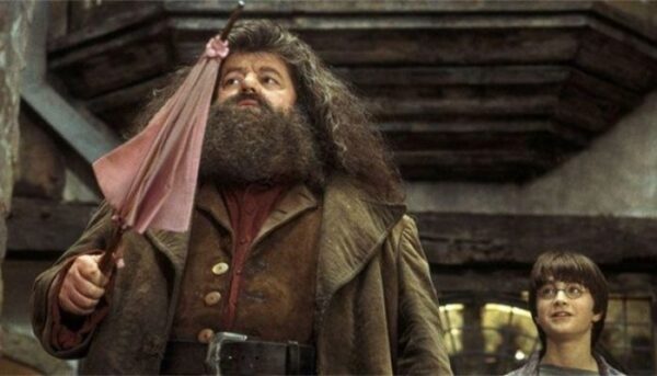 Hagrid_HP-min