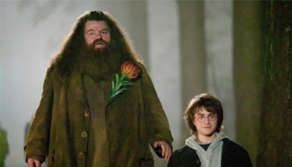 Hagrid_Harry-min