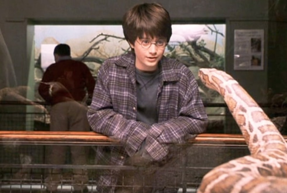 Harry Potter : des scientifiques nomment une espèce de serpent en hommage à Serpentard
